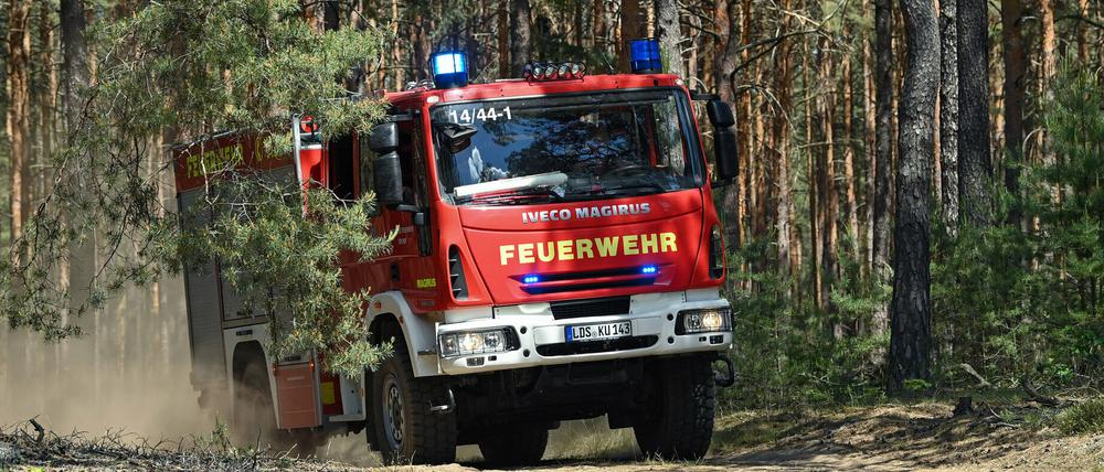 Die Feuerwehren im Land rückten bereits zu ersten kleineren Waldbränden aus (Symbolbild).