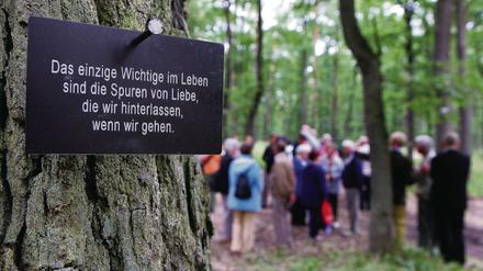 Im ersten Friedwald im Stadtforst von Fürstenwalde hängt eine Gedenktafel.