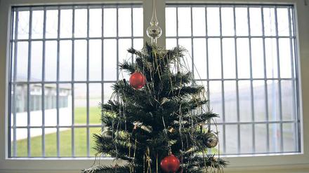 Isoliert zum Fest. Die bleibt etwa 80 Straftätern im Land Brandenburg in diesem Jahr erspart. Sie profitieren von der Weihnachtsamnestie. Für die restlichen mehr als 1300 Häftlinge gibt es Weihnachtsbäume, Geschenke, Festschmaus und Gottesdienste.