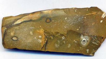 Seltener Fund. Ein uraltes Steinbeil wurde in Zossen entdeckt.
