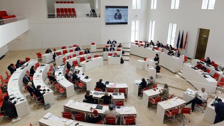 Ende September will die AfD-Fraktion den Gesetzenwurf im Landtag Brandenburg einbringen.