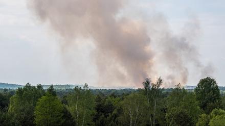 Ein Waldstück in der Lieberoser Heide in Brandenburg brennt.