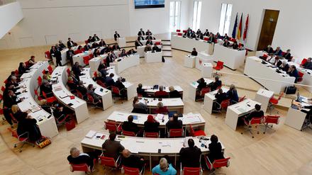 Parlamentspräsidentin Britta Stark will eine Erhöhung der Diäten der Brandenburger Landtagsabgeordneten um 4,4 Prozent vorschlagen. Der Steuerzahlerbund hält das für nicht angemessen.