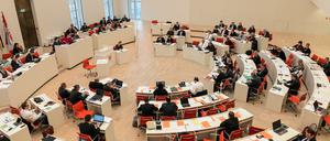 Der Brandenburger Landtag wird im September 2019 neu gewählt.