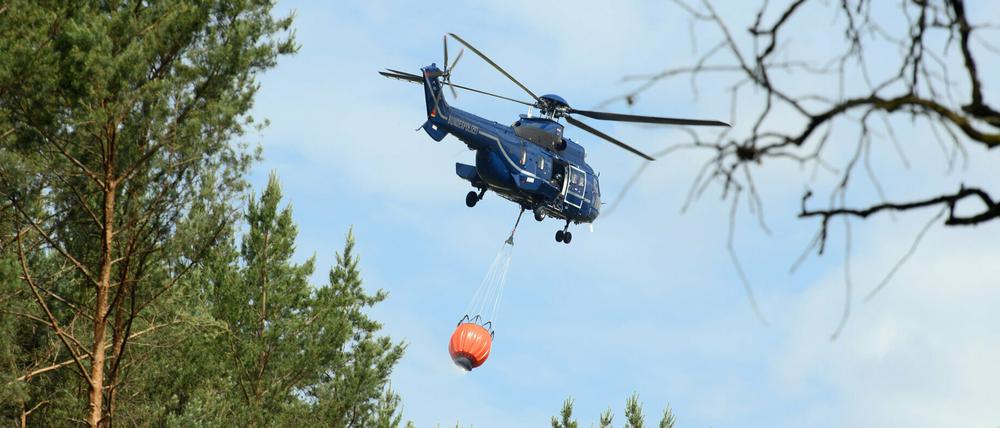 Ein Hubschrauber mit angehängtem Wassertank fliegt über die Bäume eines Waldstücks. 