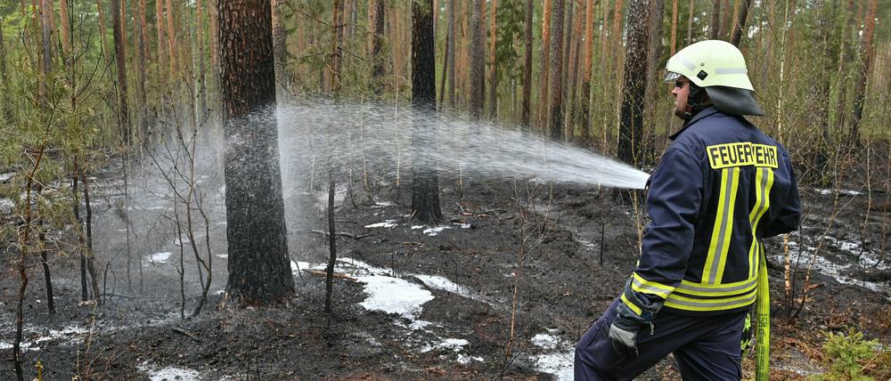 In vergangenen Woche musste die Feuerwehr zu einem Waldbrand in Briesen (Oder-Spree) ausrücken. 