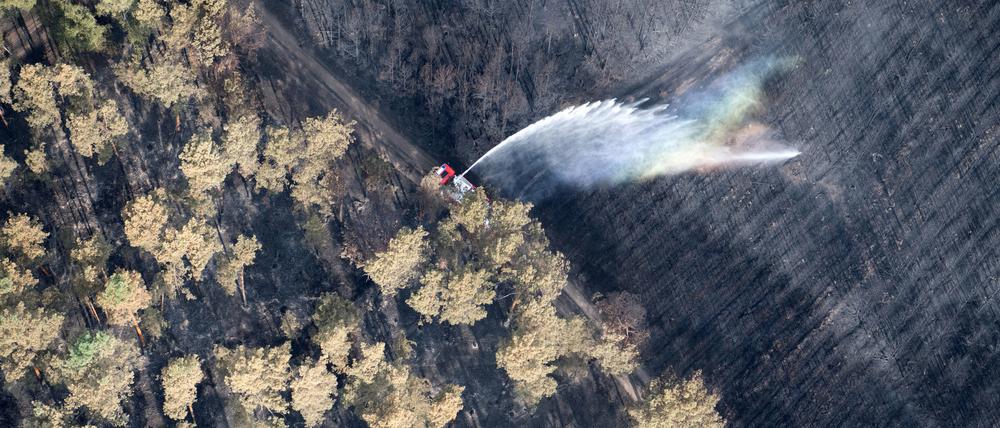 Treuenbrietzen: In einem verbrannten Kiefernwald patrouilliert ein Löschfahrzeug der Feuerwehr. Nach den verheerenden Waldbränden in Brandenburg war die Feuerwehr mit dem Löschen von Glutnestern beschäftigt.