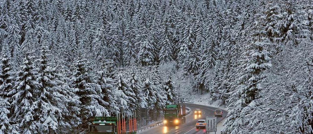 Eine Straße führt durch einen von Schnee bedeckten Wald. 