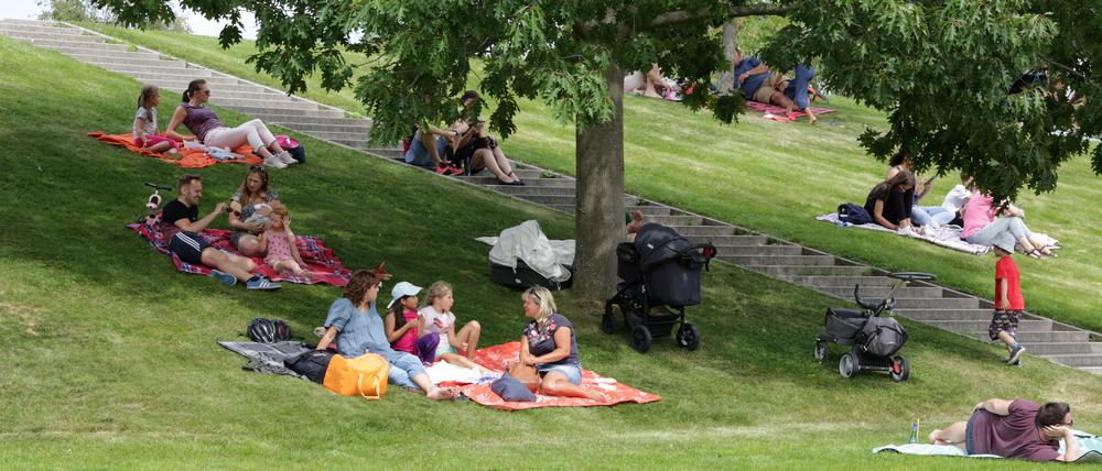 Open-Air-Picknick zum 20. Jahrestag des Volksparks Potsdam.