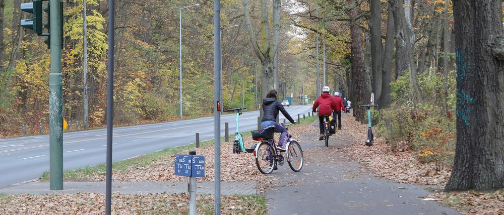 Die Verkehrssicherheit soll für Radfahrer in der Potsdamer Heinrich-Mann-Allee verbessert werden.
