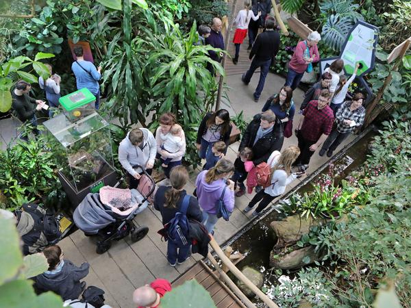 Besucherandrang am 8. März 2019 - also vor Corona - in der Potsdamer Biosphäre.