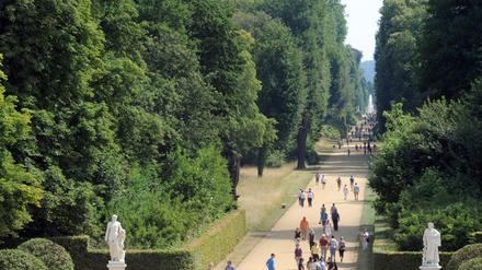 Lustwandeln im Park Sanssouci. Jetzt sollen die Bürger entscheiden, ob der Spaß kostenlos bleibt.