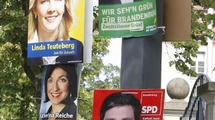 Alle an einem Strang: Potsdams Politiker wehren sich gegen verunstaltete Wahlplakate.