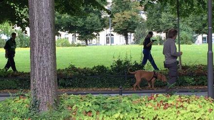 Mantrailer-Hunde suchen weiter nach Elias aus Potsdam, der seit drei Wochen vermisst wird.