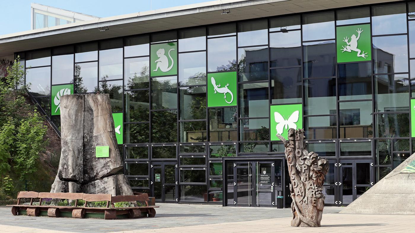 Neuer Name für Biosphäre Stadt Potsdam will die Struktur verändern