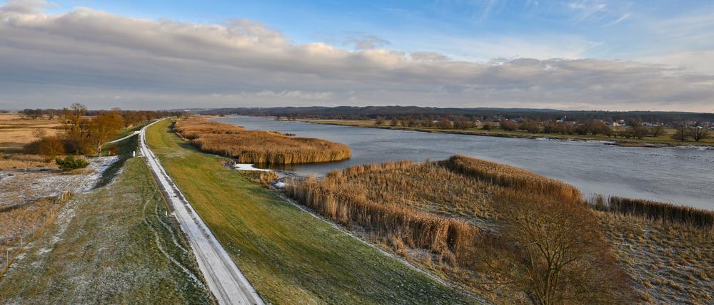 Blick von einem Aussichtsturm auf die winterliche Landschaft am deutsch-polnischen Grenzfluss Oder im Nationalpark Unteres Odertal.