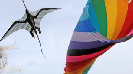 Bunte Drachen aus vielen Ländern werden am Wochenende im Volkspark gezeigt.