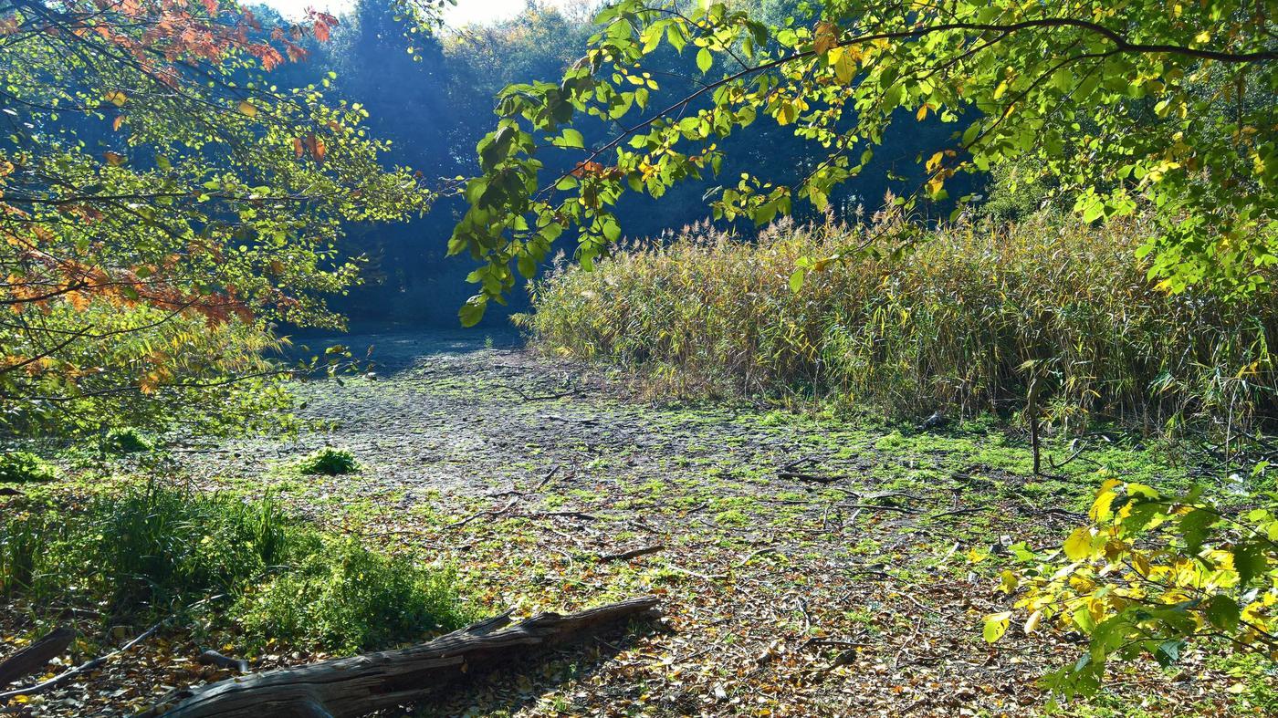 Gewässer in Potsdam