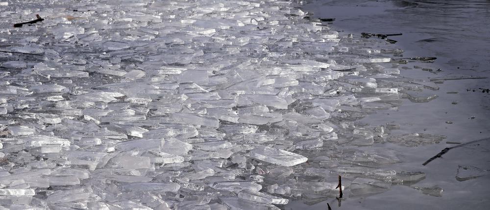 Der Heilige See in Potsdam ist bei den eisigen Temperaturen der letzten Tage so gut wie zugefroren. Aber nicht tragfähig - und mit einigen eisfreien Stellen.