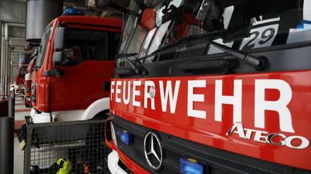 Bereits am Montag musste die Potsdamer Feuerwehr ausrücken, um einen Waldbrand in der Templiner Vorstadt zu löschen.