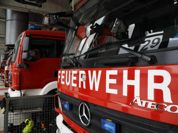 Bereits am Montag musste die Potsdamer Feuerwehr ausrücken, um einen Waldbrand in der Templiner Vorstadt zu löschen.