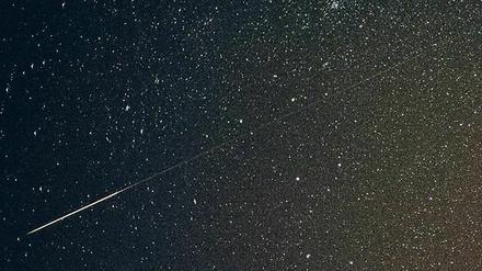 Eine Sternschnuppe leuchtet am Brandenburger Nachthimmel. 