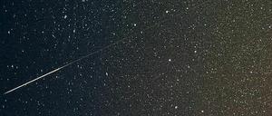 Eine Sternschnuppe leuchtet am Brandenburger Nachthimmel. 