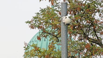 Die Potsdamer Stadtverwaltung prüft eine Videoüberwachung auf der Freundschaftsinsel.
