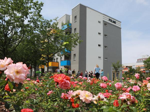 Die Gartenstadt Drewitz soll Potsdams erster emissionsfreier Stadtteil werden.