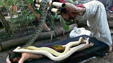 Schlangen helfen entspannen: Rainer Kwasis gewaltige Pythons ließen Lena Golub eine Rückenmassage angedeihen.