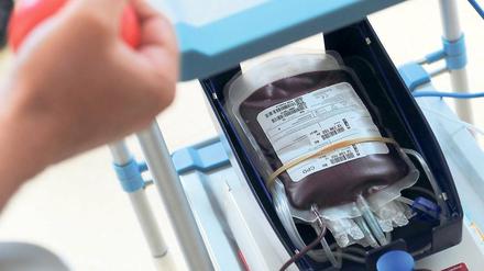 Lebenssaft. Rund 60 000 Blutspenden gibt es jährlich in Potsdam. Mit fünf Prozent regelmäßigen Blutspendern in der Bevölkerung liegt die Landeshauptstadt über dem Bundesdurchschnitt von etwa drei bis vier Prozent.
