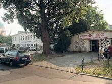 Für Neubauten in Französischer Straße in Potsdam: Alte Schwarzpappel wird gefällt