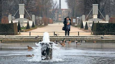 Die Enten im Park Sanssouci machen sich keine Sorgen über die kühlen Temperaturen.