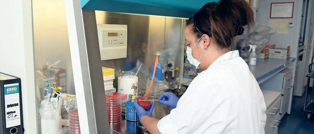 Imageproblem. 140 Biotechnologie- und Medizintechnikunternehmen gibt es in Potsdam und Potsdam-Mittelmark – hier ein Bild aus dem Ripac-Labor in Golm. Doch bekannt ist die Region als Biotech-Standort bislang kaum. Das soll sich mit der neuen Kampagne nun ändern.