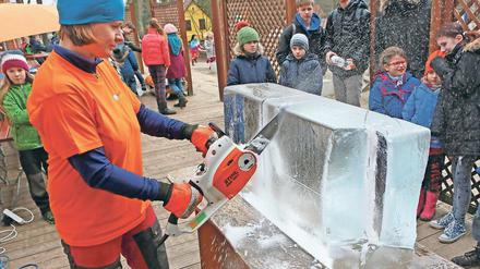 Ausgezeichnet. Der Verein Iceploration, hier Mitgründerin Geertje Jacob, informiert unter anderem bei Projekttagen an Schulen über das Schmelzen des Grönlandeises.