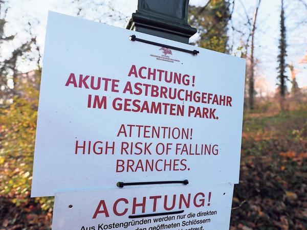 Mit Trockenheit und Hitze kämpft auch die Schlösserstiftung – am Ruinenberg warnt sie vor Astabbrüchen.
