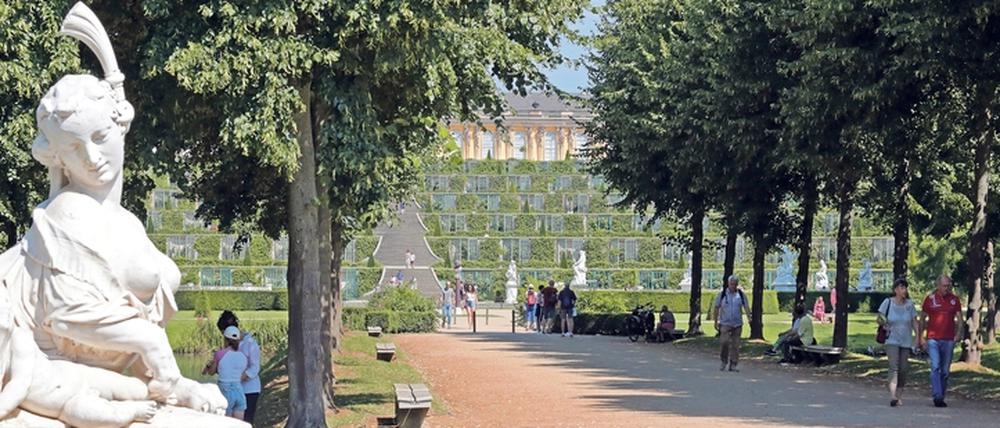 Romantik pur. Für Brigitte Meier ist das der Blick vom Park aus auf das Schloss Sanssouci mit dem grünen Hang.