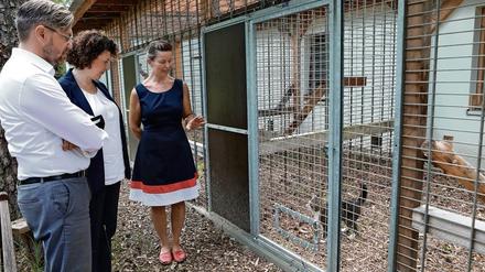 Oberbürgermeister Mike Schubert und Ordnungsbeigeordnete Brigitte Meier (beide SPD) beim Besuch des  Tierheims mit dessen Leiterin Antje Schwarze (v.l.).