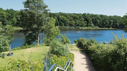 Der einstige Spazierweg am Griebnitzsee ist heute an mehreren Stellen gesperrt.