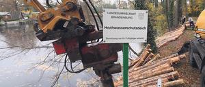 Mehr als 1000 Holzpfähle müssen am Ufer des Deiches am Tonloch Wublitz in den Boden getrieben werden, um die Stabilität zu gewährleisten.