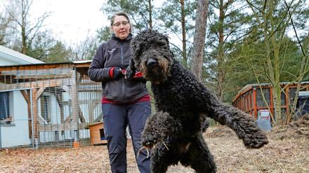 Tierpflegerin Stefanie Krüger mit Neuzugang „Blacky“. Der einjährige Labrador-Riesenpudel-Mischling sucht neue Besitzer.