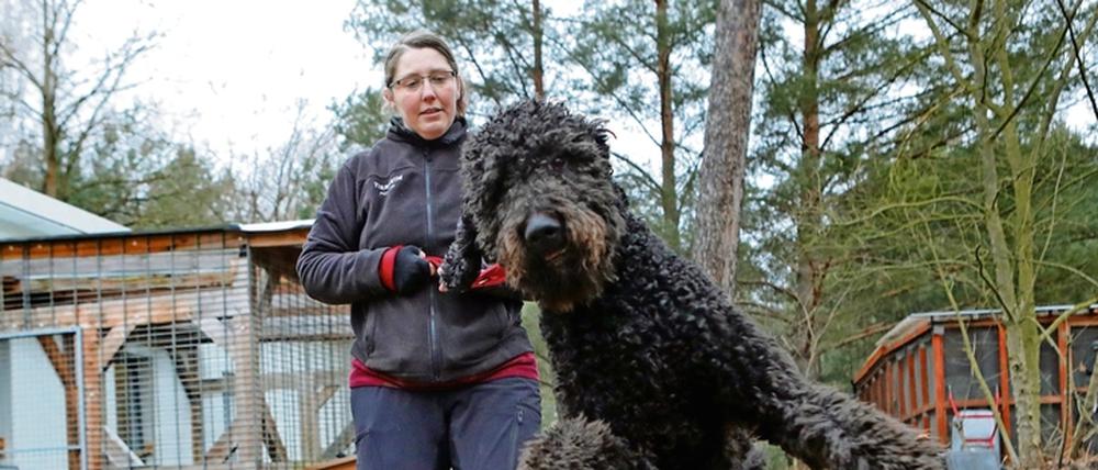 Tierpflegerin Stefanie Krüger mit Neuzugang „Blacky“. Der einjährige Labrador-Riesenpudel-Mischling sucht neue Besitzer.