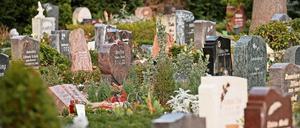 Gräber reihen sich auf dem Alten Friedhof in der Heinrich-Mann-Allee aneinander.