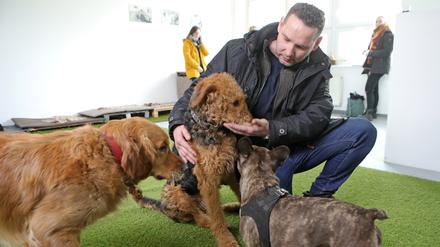 Thomas Riedel betreut die Hunde von Mitarbeitern des Potsdamer Bergmann-Klinikums, doch auch andere können seinen Service nutzen.