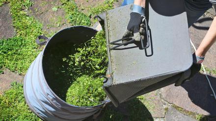 Potsdamer haben die Möglichkeit, ihren Grünschnitt zur Kompostieranlage in Nedlitz zu bringen.