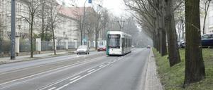 Die Tramgleise auf der Heinrich-Mann-Allee sollen erneuert und teils verlegt werden.