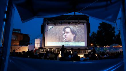 Gemeinsam mit dem Babelsberger Thalia-Kino veranstaltete das Waschhaus im Vorjahr wieder einen Open-Air-Kinosommer.