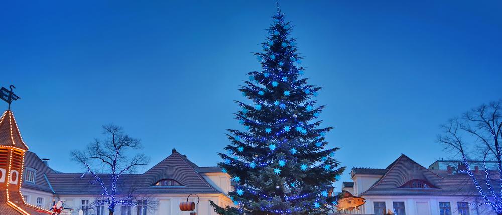 Der "Blaue Lichterglanz" auf der Brandenburger Straße ist der größte Weihnachtsmarkt in Brandenburg.