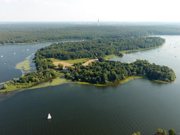 Die Pfaueninsel zwischen Potsdam und Berlin.