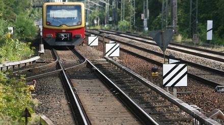 Seit Ende des Zweiten Weltkriegs ist die S-Bahn-Strecke zwischen Potsdam und Wannsee eingleisig - und das wird wahrscheinlich auch so bleiben.
